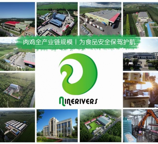 全產(chǎn)業(yè)鏈規模