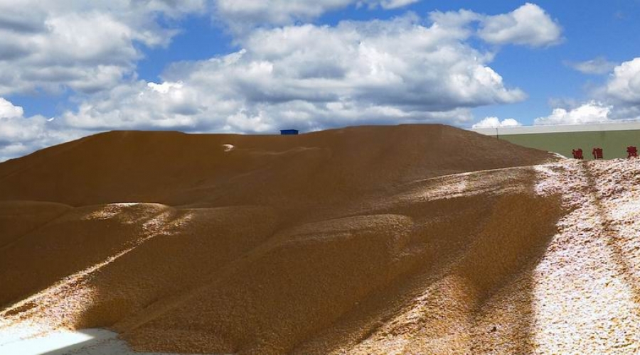 臺安稷豐糧食經(jīng)銷(xiāo)有限公司